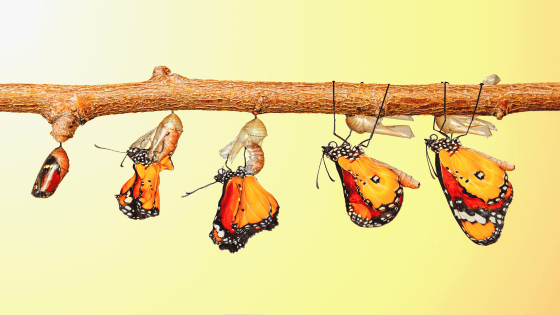 3 DŮVODY PROČ JÍT KE KOUČI